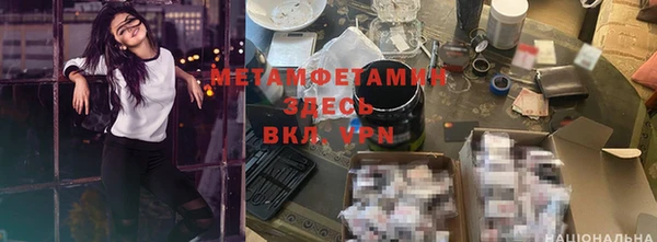 прущие грибы Михайловск