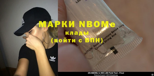 apvp Алзамай