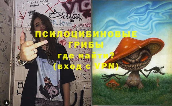 первитин Алексин